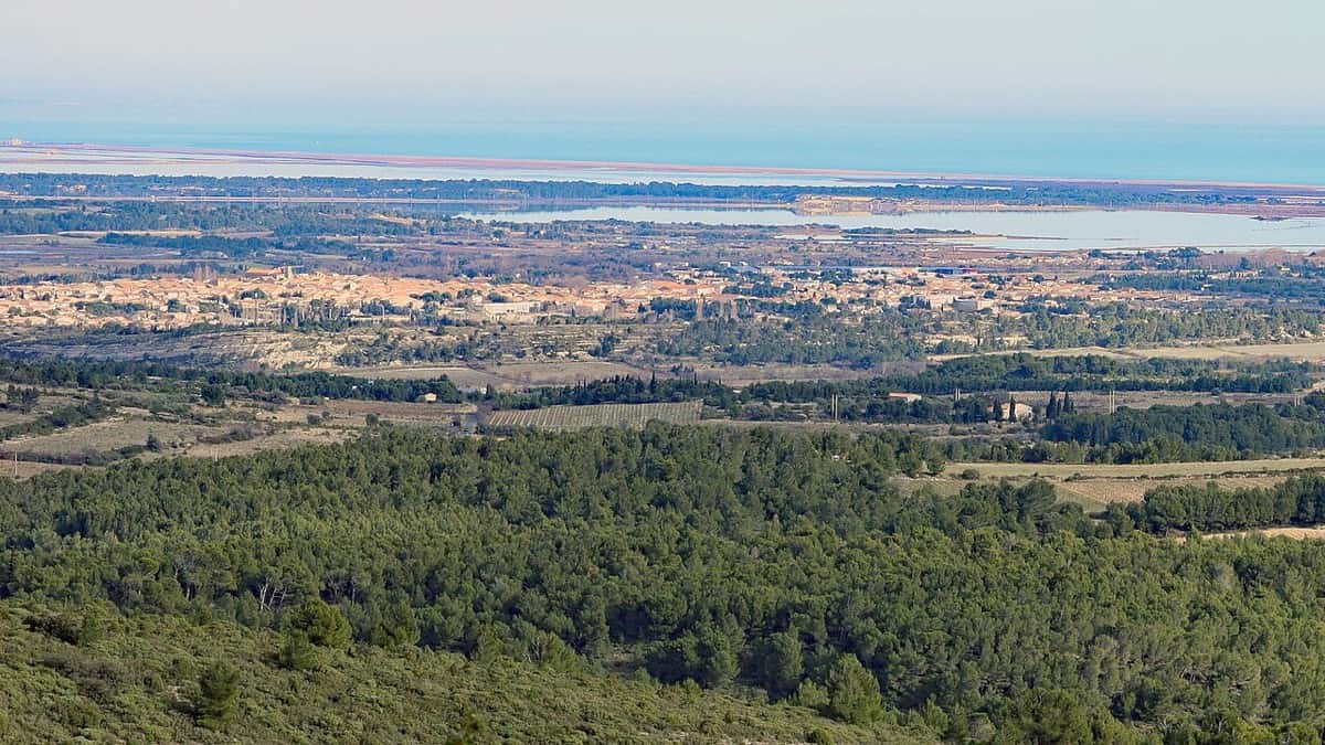 Vue de Sigean