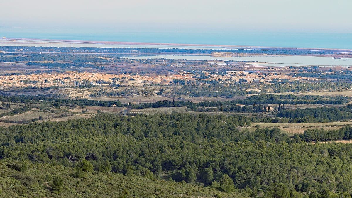 Vue de Sigean