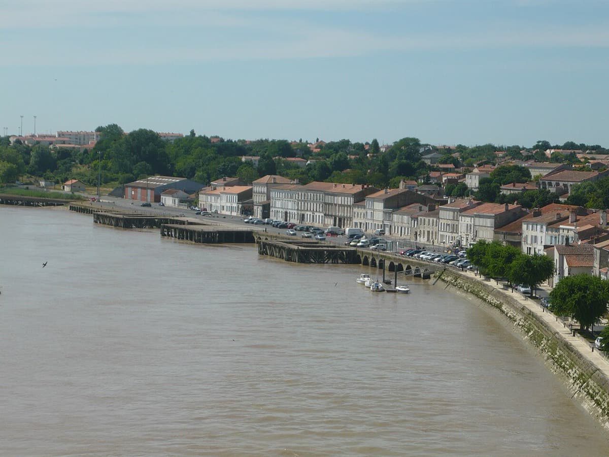Vue de Tonnay-Charente