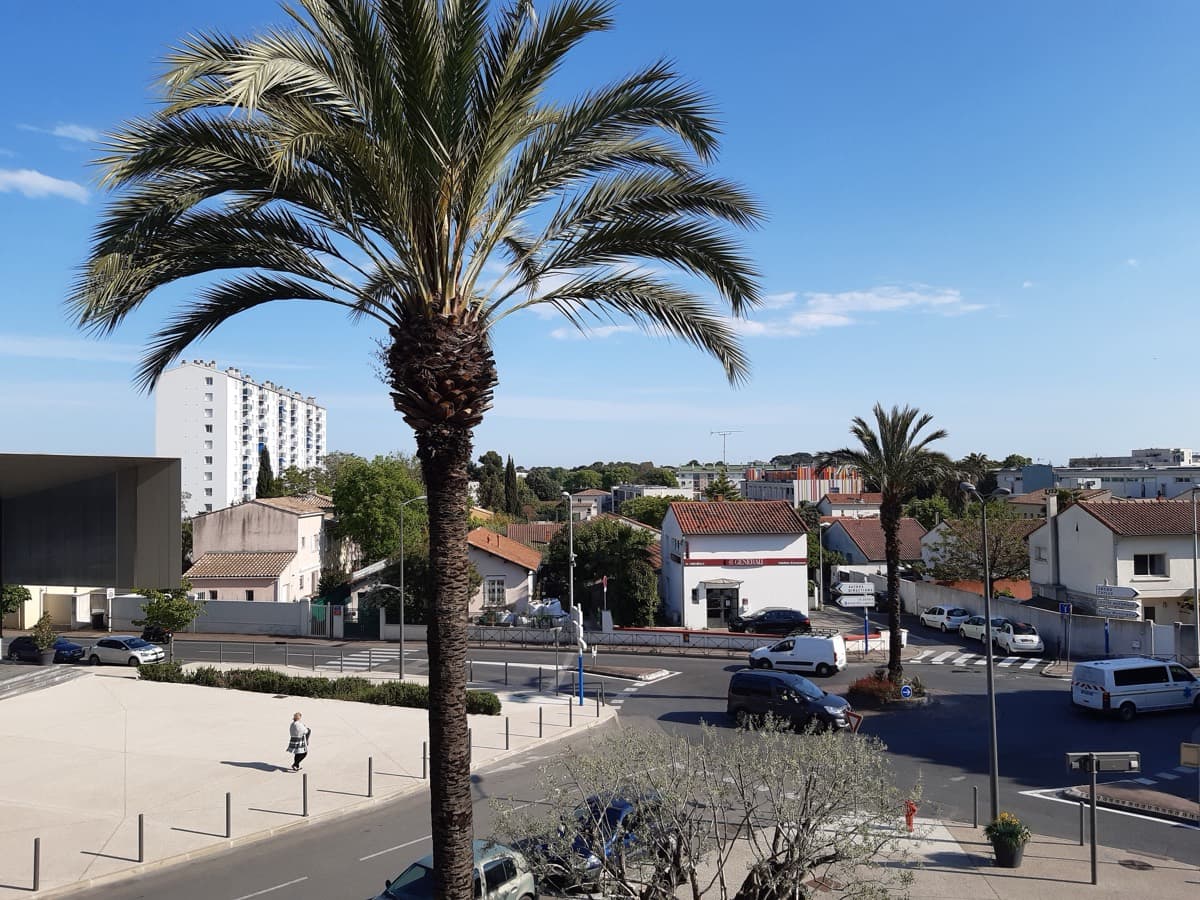 Vue de Castelnau-le-Lez