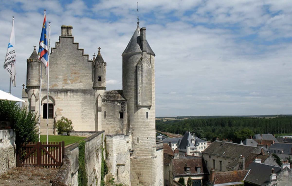 Vue de Loches