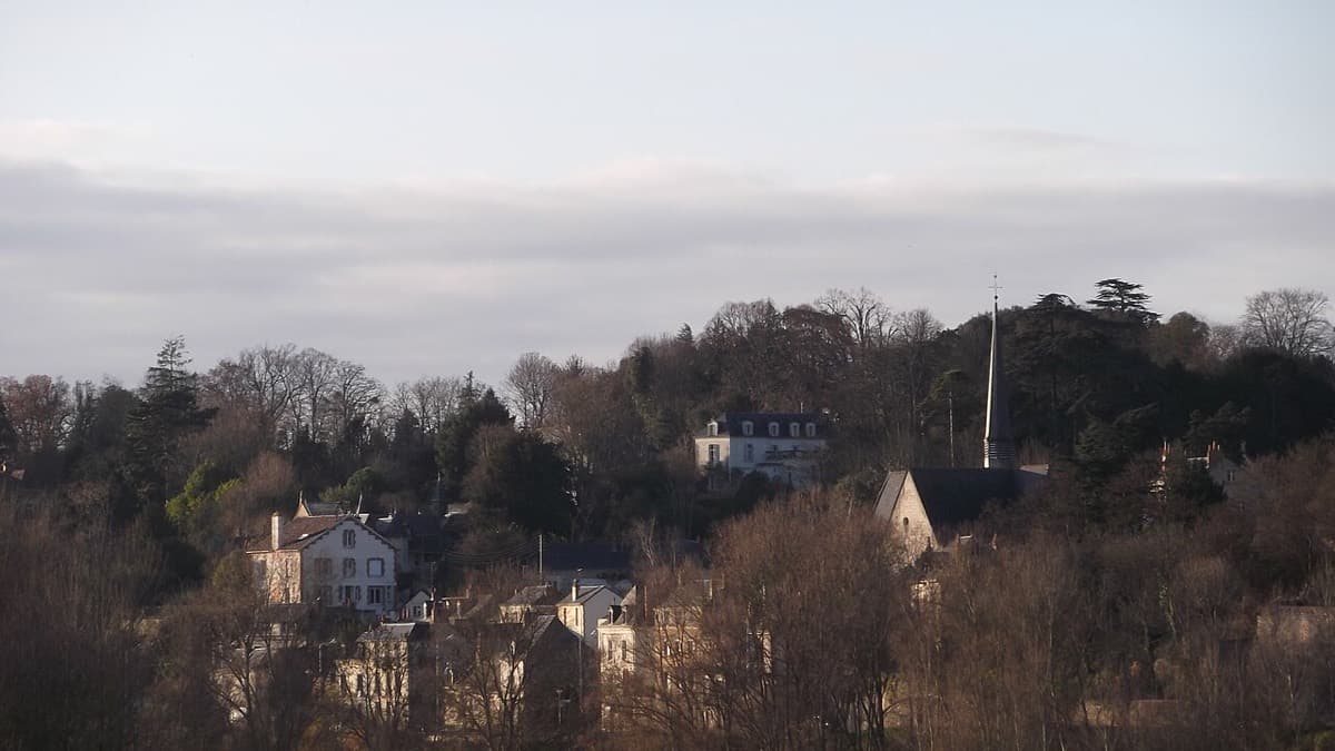 Vue de Saint-Cyr-sur-Loire