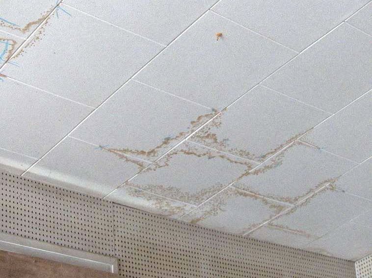 Diagnostic humidité maison : auréoles d’infiltration sur les dalles d’un faux plafond