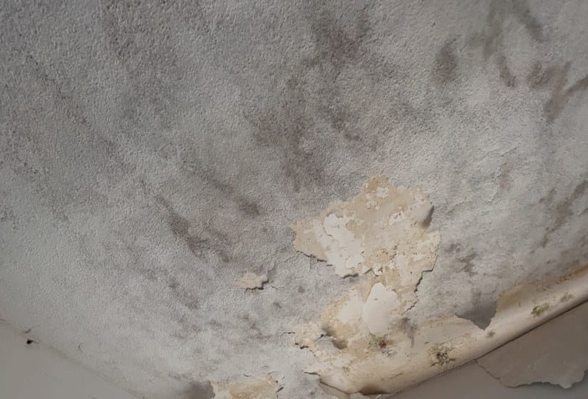 Plafond taché, peinture cloquée et décollée par l’humidité