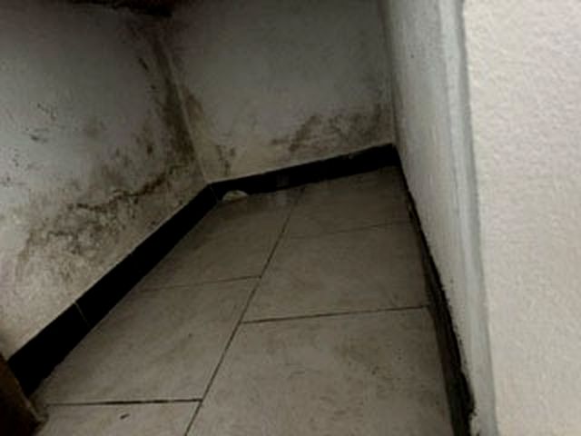 Moisissures noires en pied de mur dans un rangement sous escalier